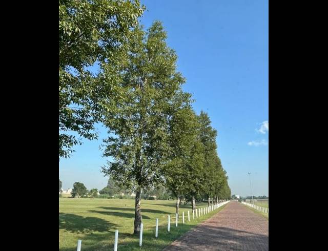 LAND FOR SALE IN RIVERSPRAY LIFESTYLE ESTATE